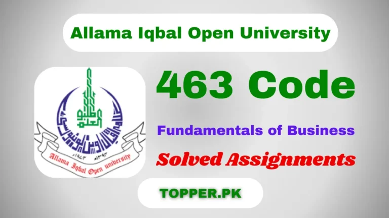 463 Code Fundamentals of Business Solved Assignments
