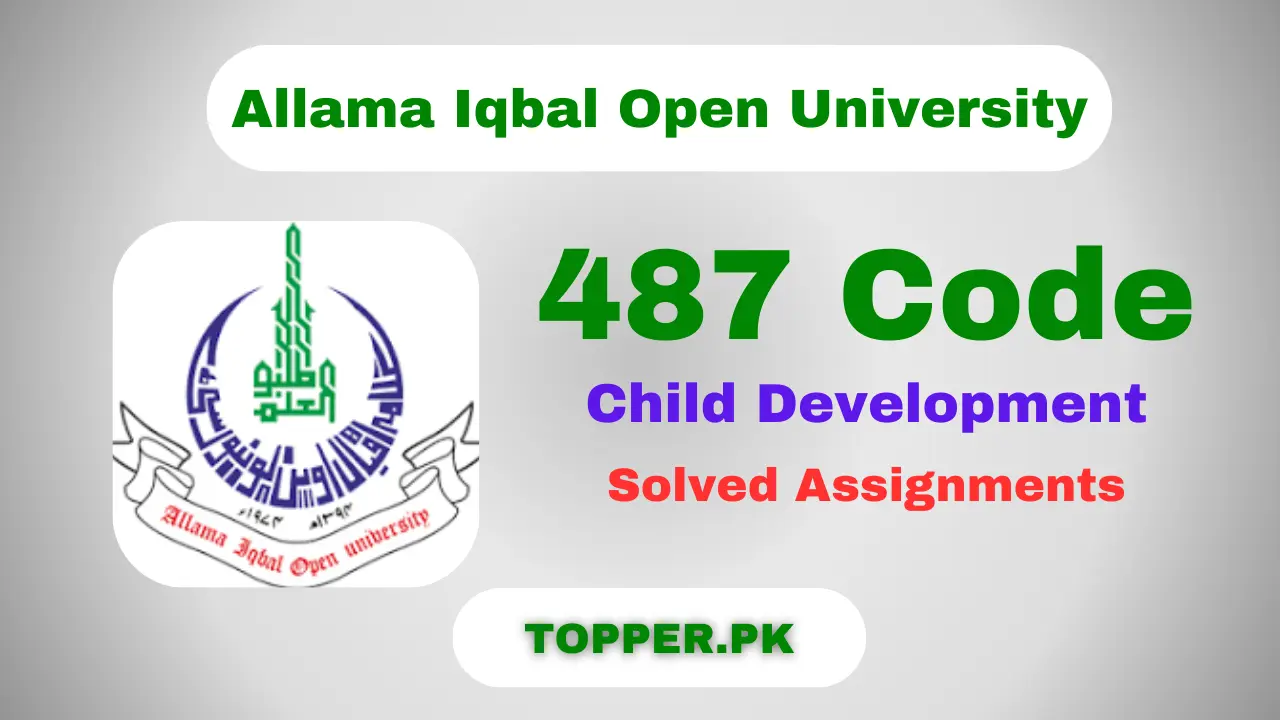 487 Code Child Development Solved Assignments - Topper.pk